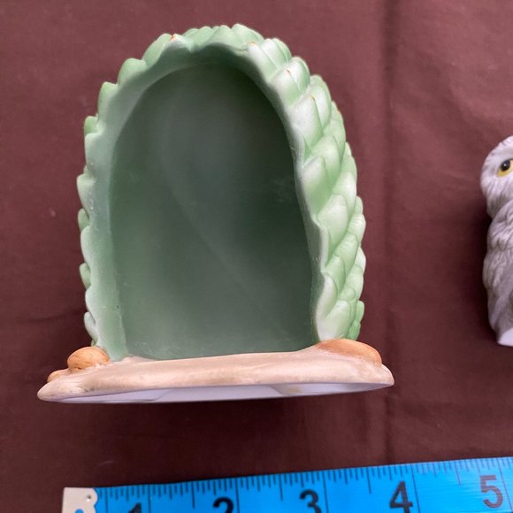 Owl in cactus home - Picture 5 of 7